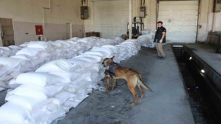 Tuz çuvalları arasında gizlenen 49 kilogram eroin ele geçirildi