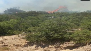 Vali Yılmaz açıkladı: Orman yangını kontrol altına alındı