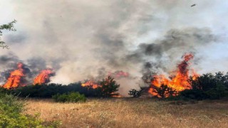 Valilikten sıcak ve yangın uyarısı