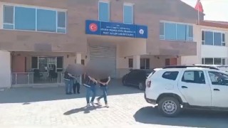 Vanda 2 organizatör tutuklandı