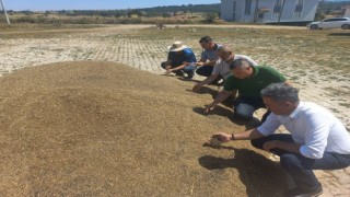 Verim bu yıl dönümünde 300 kilo arttı