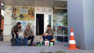 Yalovada bıldırcın sesi çıkaran cihazlar imha edildi