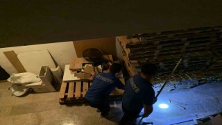 Yalovada itfaiyeden kedi kurtarma operasyonu