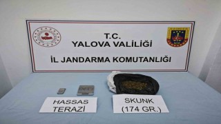 Yalovada uyuşturucu operasyonu: 1 gözaltı