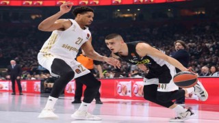 Yam Madar Fenerbahçe Bekoda