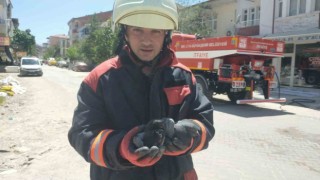 Yangında etkilenen güvercinleri itfaiye kurtardı