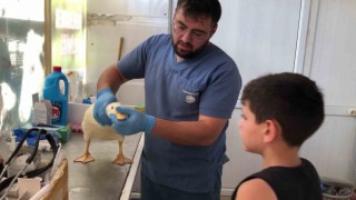 Yaşı küçük kalbi büyük Halitten alkışlanacak hareket