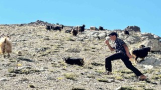 Yaylada çobanlık yapan Muhammet, LGSde Türkiye ikincisi oldu