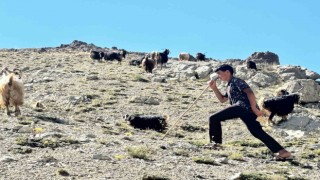 Yaylada çobanlık yapan ve LGSde Türkiye ikincisi olan Muhammetin kazandığı lise belli oldu