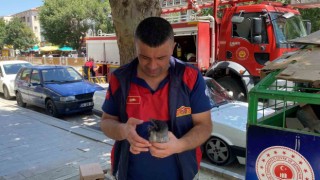 Yere düşen yavru kargayı yuvasına koyan itfaiye ekipleri, vatandaşları anne karganın saldırısından kurtardı