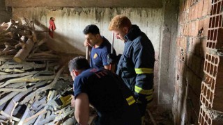 Yılan ihbarı itfaiye ekiplerini harekete geçirdi