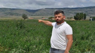 Yıllar önce planlaması yapılan imar projeleri hala hayata geçirilmeyi bekliyor