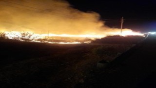Yol kenarında çıkan yangın tarlaya sıçradı