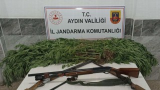 Zeytin bahçesinden uyuşturucu çıktı