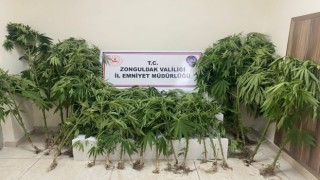 Zonguldakta uyuşturucu operasyonu; 1 tutuklu