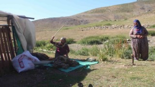 2 bin 500 rakımda ekmek mücadelesi