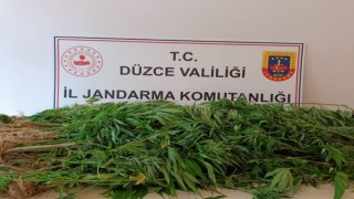 9 kilo 200 gram kubar esrar ele geçirildi