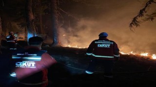 Adalet Bakanı Tunç: “CEKUT ekipleri Çanakkaledeki orman yangınına destek için 13 farklı ilden yola çıktı”