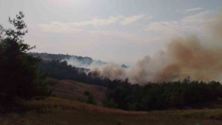 Adanada orman yangını