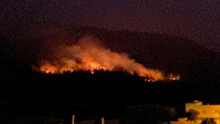 Adanada orman yangını