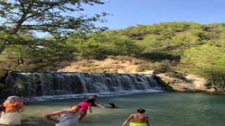 Yedigöze Orman Parkı'na ziyaretçi akını