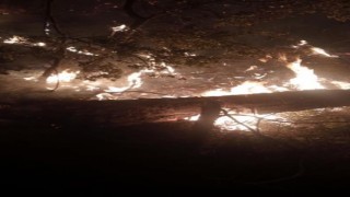 Adanadaki orman yangını kontrol altına alındı