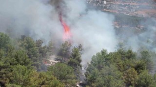 Adıyamandaki orman yangını havadan görüntülendi
