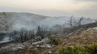 Afyonkarahisarda orman yangını