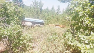 Ağaçlık alana devrilen traktörün sürücüsü yaralandı