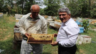 Ağrılı arıcılar tescilli geven balı hasadını sürdürüyor