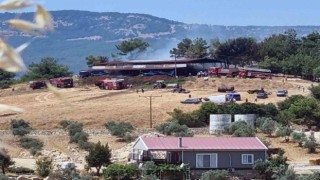 Ahır yangınında 2 büyükbaş hayvan telef oldu