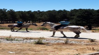 Akdağ Tabiat Parkında atlı jandarma timleri göreve başladı