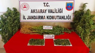 Aksaray jandarmadan uyuşturucu operasyonu: 2 gözaltı