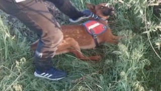 Aksarayda uyuşturucu operasyonu