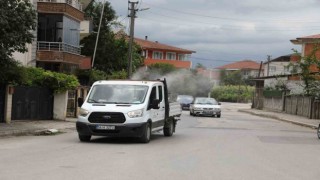 Akyazıda ilaçlama çalışmaları sürüyor