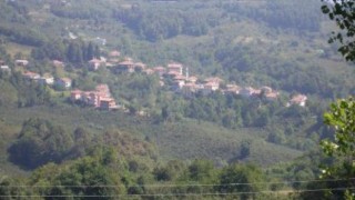 Alaplıda bir eve giren hırsız 12 bin TL para çaldılar