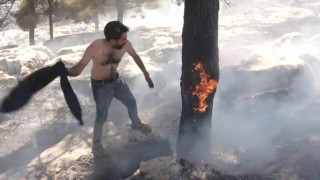 Alev alev yanan ağacı tişörtüyle söndürdü