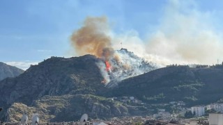 Amasya Kalesinde ormanlık alanda yangın