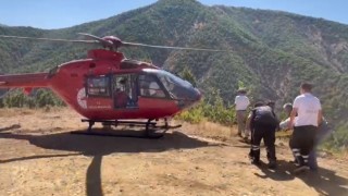 Ambulans helikopter mezradaki hastanın imdadına yetişti