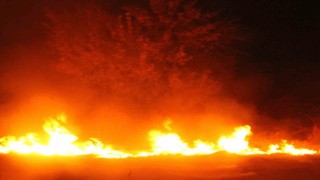 Anız yangını paniğine neden oldu