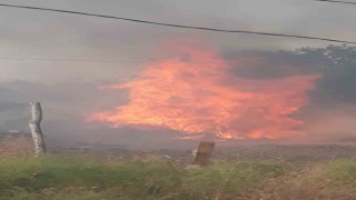Ankarada kırsal alanda korkutan yangın