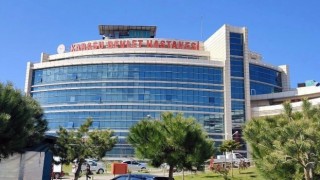 Anne kedi yavrusunu ilk kontrol için acil servise getirdi