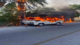 Araçta başlayan yangın ağaçlara sıçradı