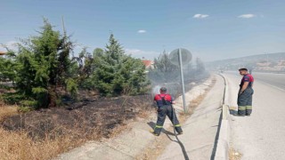 Araçtan atılan sigara izmariti yangına sebep oldu