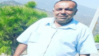 Arının soktuğu adam hayatını kaybetti