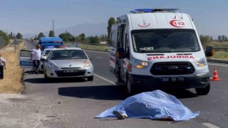 Arızalanan aracını emniyet şeridine çeken sürücü canından oldu