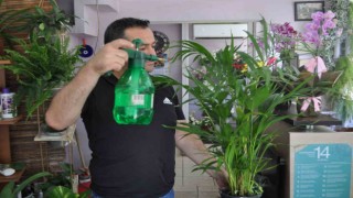 Artan sıcaklarda çiçek bakımına ekstra dikkat edilmeli
