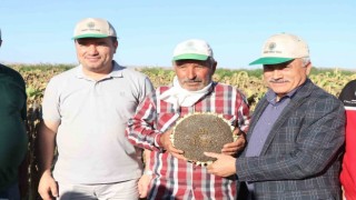 Ay çekirdeğinin kalbinde hasat başladı