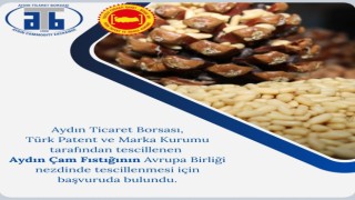 Aydın Ticaret Borsası tarafından tescillenen Aydın Çam Fıstığı, AB yolunda