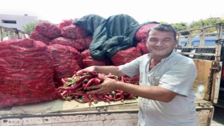 Aydının kavurucu sıcağı ilin ekonomisini canlandırdı